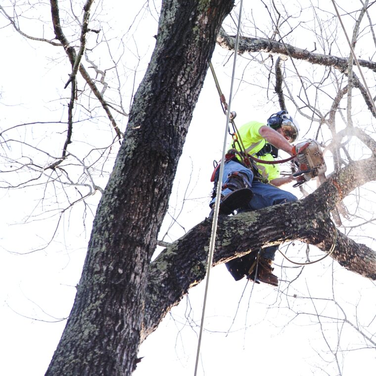 Still 2025 03 20 142535 10.1.1